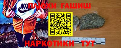 прущие грибы Будённовск
