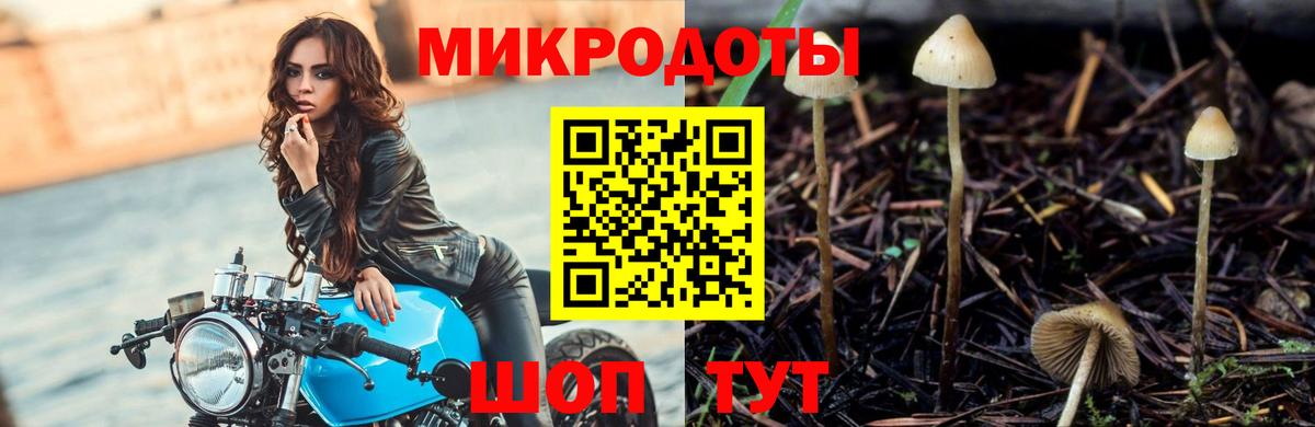 Ревда  Псилоцибиновые грибы ЛСД  Вход с VPN 